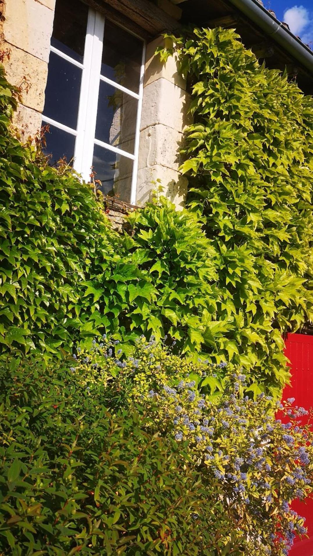 La Ferme Du Grand Bois Apartment Mouterre-Silly Exterior photo